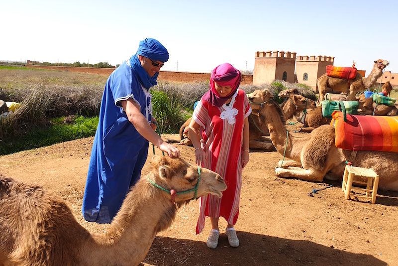Camel handler helping a traveller get ready for a ride