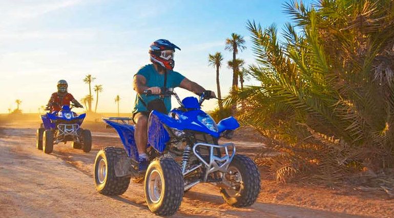 Two quad bikes riding a dusty track through palm trees