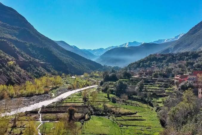 Terraced fields along the Ourika river seen from above